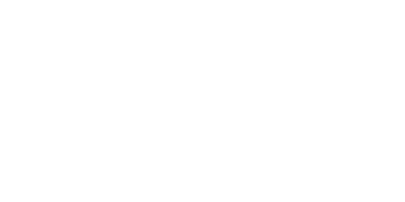 AMO Báo Cáo